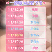 ヒメ日記 2025/11/12 15:17 投稿 こばと ハピネス東京