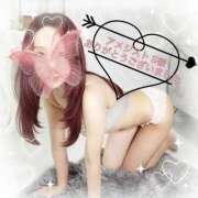 ヒメ日記 2025/10/26 00:51 投稿 加賀美りょう 池袋㊙エステ～フル勃起～