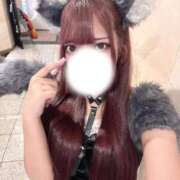 ヒメ日記 2025/11/02 11:01 投稿 めい ホテピン