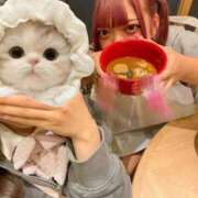 ヒメ日記 2025/11/06 14:18 投稿 めい ホテピン