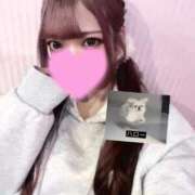 ヒメ日記 2025/11/19 14:18 投稿 めい ホテピン