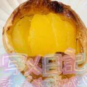 ヒメ日記 2026/02/25 11:40 投稿 岩波りえ(いわなみりえ) 鶯谷ナンバーワン