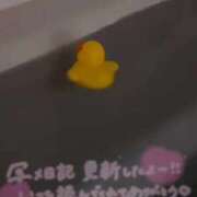 ヒメ日記 2026/05/22 11:20 投稿 岩波りえ(いわなみりえ) 鶯谷ナンバーワン