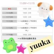 ヒメ日記 2025/11/09 21:41 投稿 櫻井ゆうか セレブ Rex