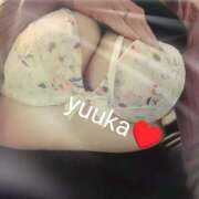 ヒメ日記 2026/01/02 14:39 投稿 櫻井ゆうか セレブ Rex