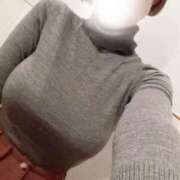 ヒメ日記 2025/11/11 08:38 投稿 松居楽々 ハールブルク