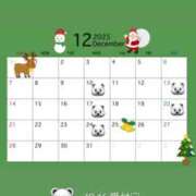 ヒメ日記 2025/11/19 11:05 投稿 松居楽々 ハールブルク