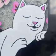 ヒメ日記 2026/02/02 09:50 投稿 松居楽々 ハールブルク