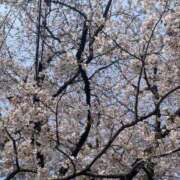 松居楽々 🌸明日出勤🌸 ハールブルク