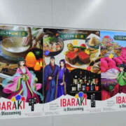 うるみ ラスト YESグループ　華女