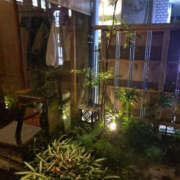 ヒメ日記 2025/12/15 13:17 投稿 うるみ YESグループ　華女