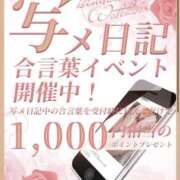 ヒメ日記 2026/03/28 18:36 投稿 一ノ瀬ありさ 禁断のメンズエステR-18堺・南大阪店