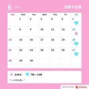 まお よてい！ バイオレンス