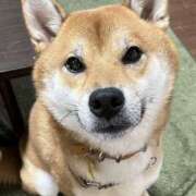 ゆきの ✨可愛い💖✨ モアグループ宇都宮人妻花壇