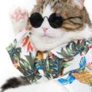 ヒメ日記 2025/12/01 21:18 投稿 紗奈（さな） 今日、私はあなたの部下（マーベリックグループ）