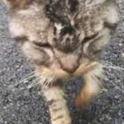 ヒメ日記 2026/03/08 13:58 投稿 紗奈（さな） 今日、私はあなたの部下（マーベリックグループ）