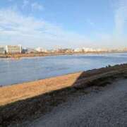 ヒメ日記 2025/12/29 23:53 投稿 しのぶ おいしい奥様