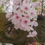 しのぶ もう夏ですね🎐笑 おいしい奥様