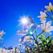 芹香 李緒 おはよう☀️♡ 人妻セレブ宮殿