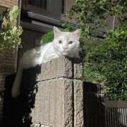 ヒメ日記 2025/11/20 11:20 投稿 あこ ワレメ舐められ学院 秋葉原校