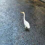 ヒメ日記 2026/02/07 21:57 投稿 ありさ しろうとCollection