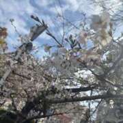 ヒメ日記 2026/04/01 21:37 投稿 ありさ しろうとCollection