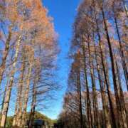 ヒメ日記 2025/11/02 15:36 投稿 仁美 昼顔妻 五反田店