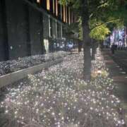 ヒメ日記 2025/12/17 15:17 投稿 仁美 昼顔妻 五反田店