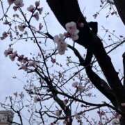 ヒメ日記 2026/03/17 15:26 投稿 仁美 昼顔妻 五反田店