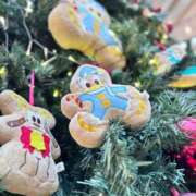 ヒメ日記 2025/11/15 09:25 投稿 coco カワサキEROTIC（ソープランド）