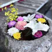 coco 女子旅✈️ カワサキEROTIC（ソープランド）