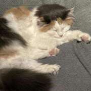 ヒメ日記 2025/10/18 14:25 投稿 まおり 秋葉原コスプレ学園(AKG)