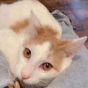 ヒメ日記 2025/10/28 14:02 投稿 まおり 秋葉原コスプレ学園(AKG)