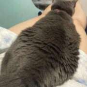 ヒメ日記 2025/12/20 15:34 投稿 まおり 秋葉原コスプレ学園(AKG)