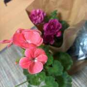 ヒメ日記 2025/12/26 21:26 投稿 まき えちちSPA-えっちな回春性感マッサージ-五反田店