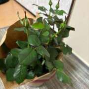 ヒメ日記 2026/01/02 21:37 投稿 まき えちちSPA-えっちな回春性感マッサージ-五反田店