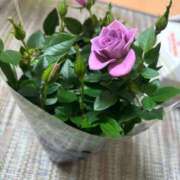 ヒメ日記 2026/01/24 22:09 投稿 まき えちちSPA-えっちな回春性感マッサージ-五反田店