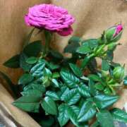 まき ありがとう❤️ えちちSPA-えっちな回春性感マッサージ-五反田店