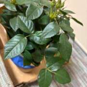 ヒメ日記 2026/03/28 21:47 投稿 まき えちちSPA-えっちな回春性感マッサージ-五反田店