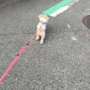 ヒメ日記 2025/10/28 14:08 投稿 みことさん いけない奥さん 十三店