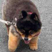 ヒメ日記 2025/10/15 18:06 投稿 あげは メンエス案内所