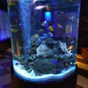 ヒメ日記 2026/02/26 15:51 投稿 あんず 熟女の風俗最終章 本厚木店