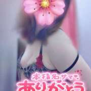 ヒメ日記 2026/08/21 12:51 投稿 あんず 熟女の風俗最終章 本厚木店