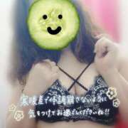 ヒメ日記 2026/09/12 00:11 投稿 あんず 熟女の風俗最終章 本厚木店