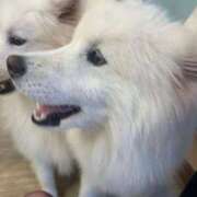 ヒメ日記 2025/11/22 21:04 投稿 らいむ 西川口ティアラ