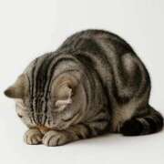 ヒメ日記 2025/11/26 15:21 投稿 らいむ 西川口ティアラ