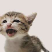 ヒメ日記 2025/12/30 11:45 投稿 らいむ 西川口ティアラ