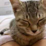 ヒメ日記 2025/10/29 04:56 投稿 【SP】るい サマンサ(和歌山)