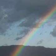 ヒメ日記 2025/12/11 15:04 投稿 【SP】るい サマンサ(和歌山)