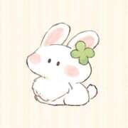 ヒメ日記 2025/12/29 21:41 投稿 こころ 萌えカワ